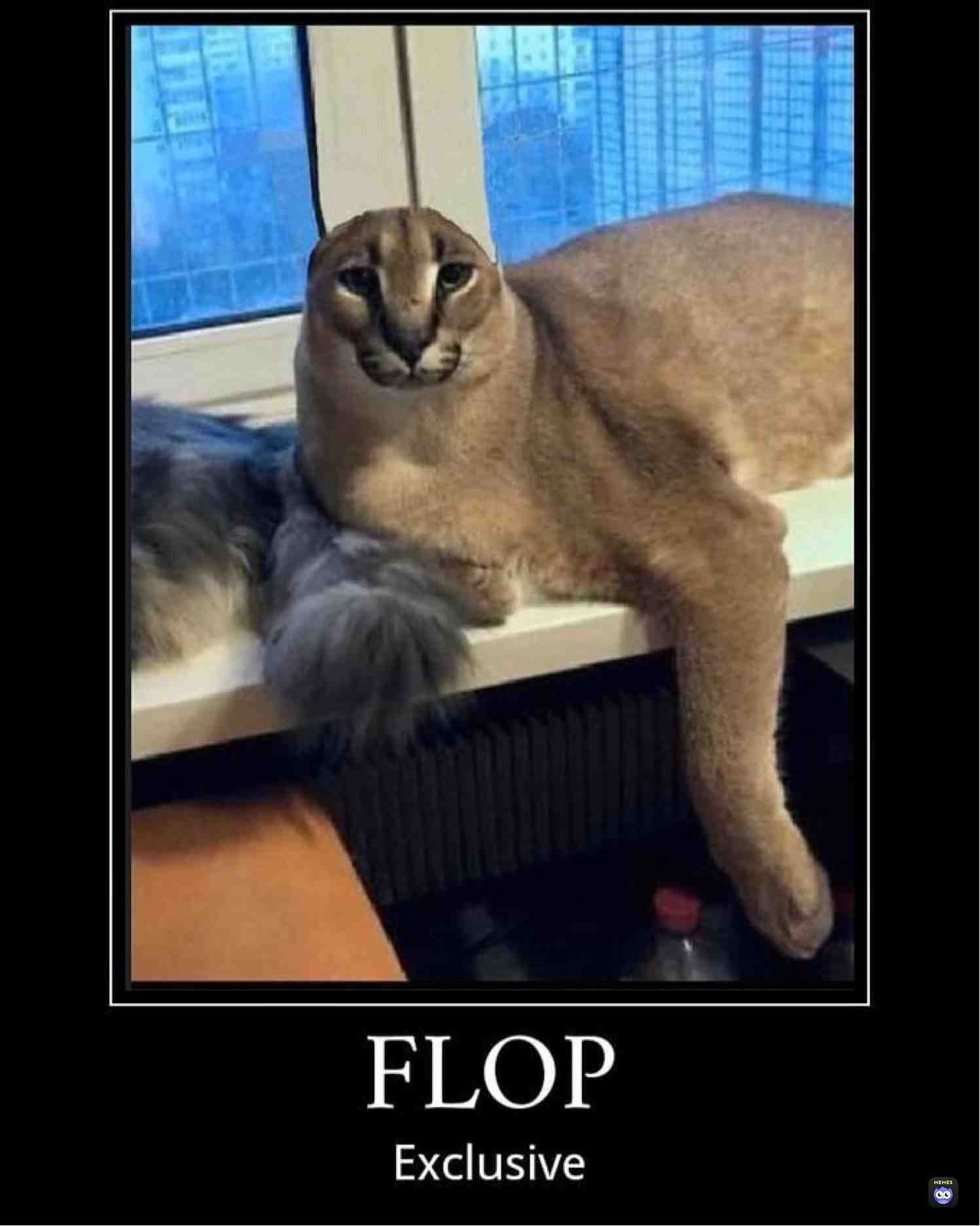 #blyat #behl #flop