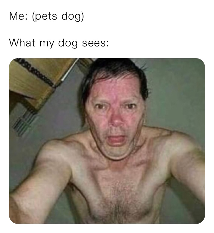 Me: (pets dog)

What my dog sees: