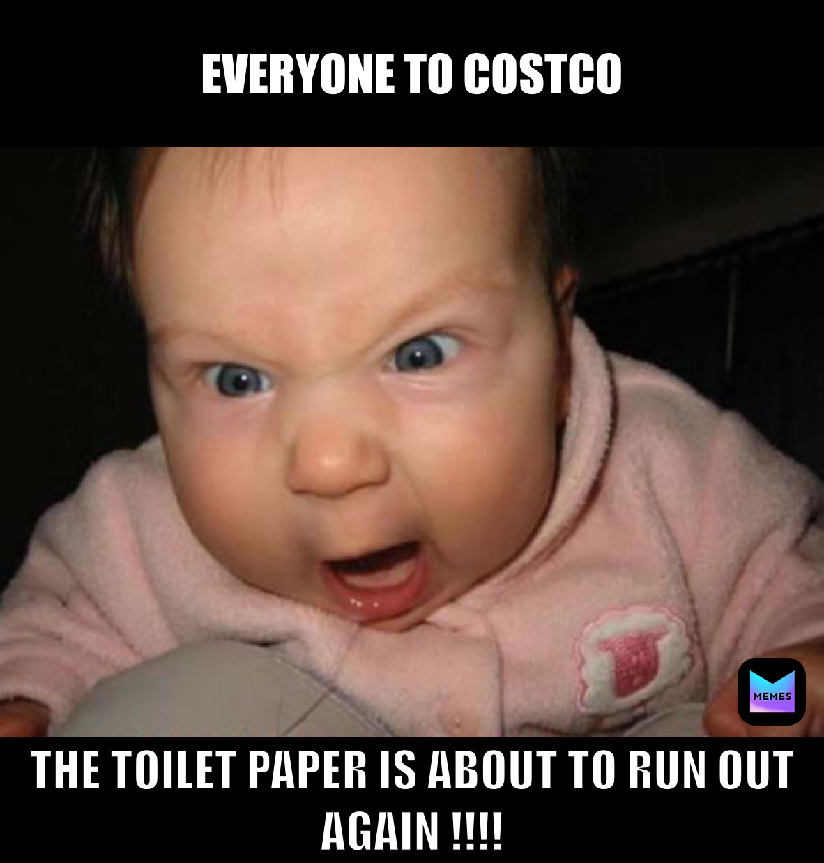 EVERYONE TO COSTCO  THE TOILET PAPER IS ABOUT TO RUN OUT AGAIN !!!!