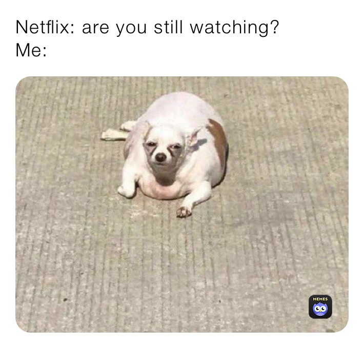 Netflix: are you still watching? 
Me: