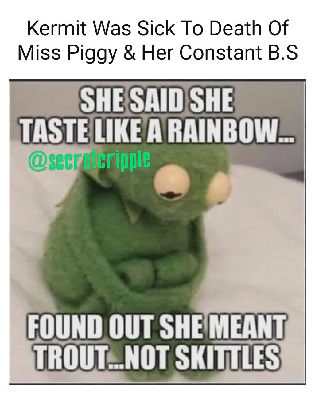 Kermit Was Sick To Death Of Miss Piggy & Her Constant B.S @secretcripple