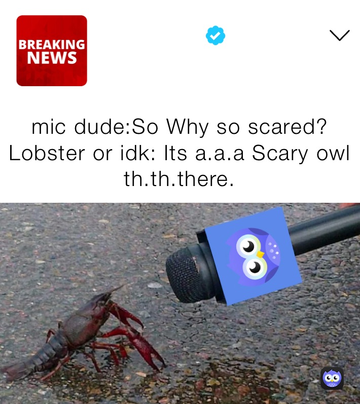 mic dude:So Why so scared?
Lobster or idk: Its a.a.a Scary owl th.th.there.