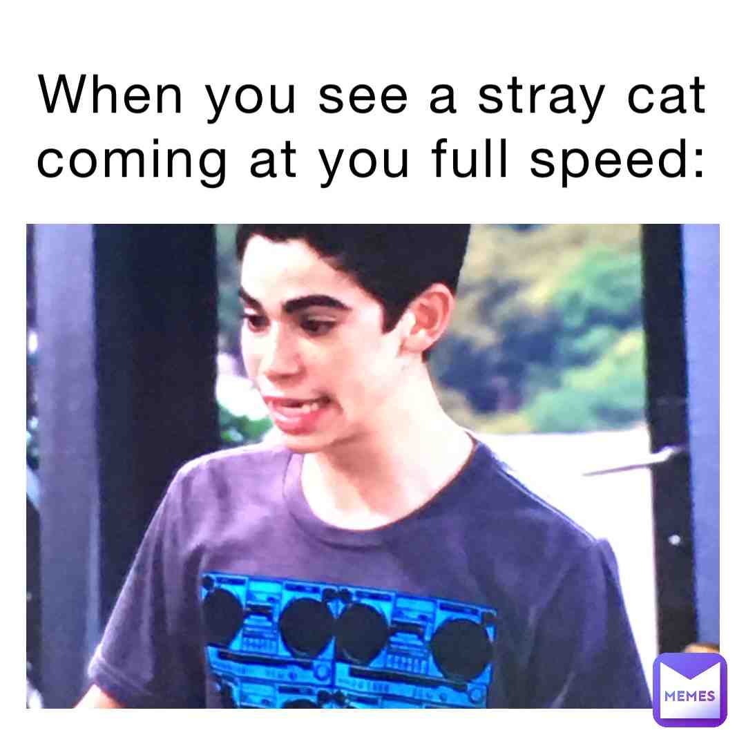 #cameronboyce  #restinpeace