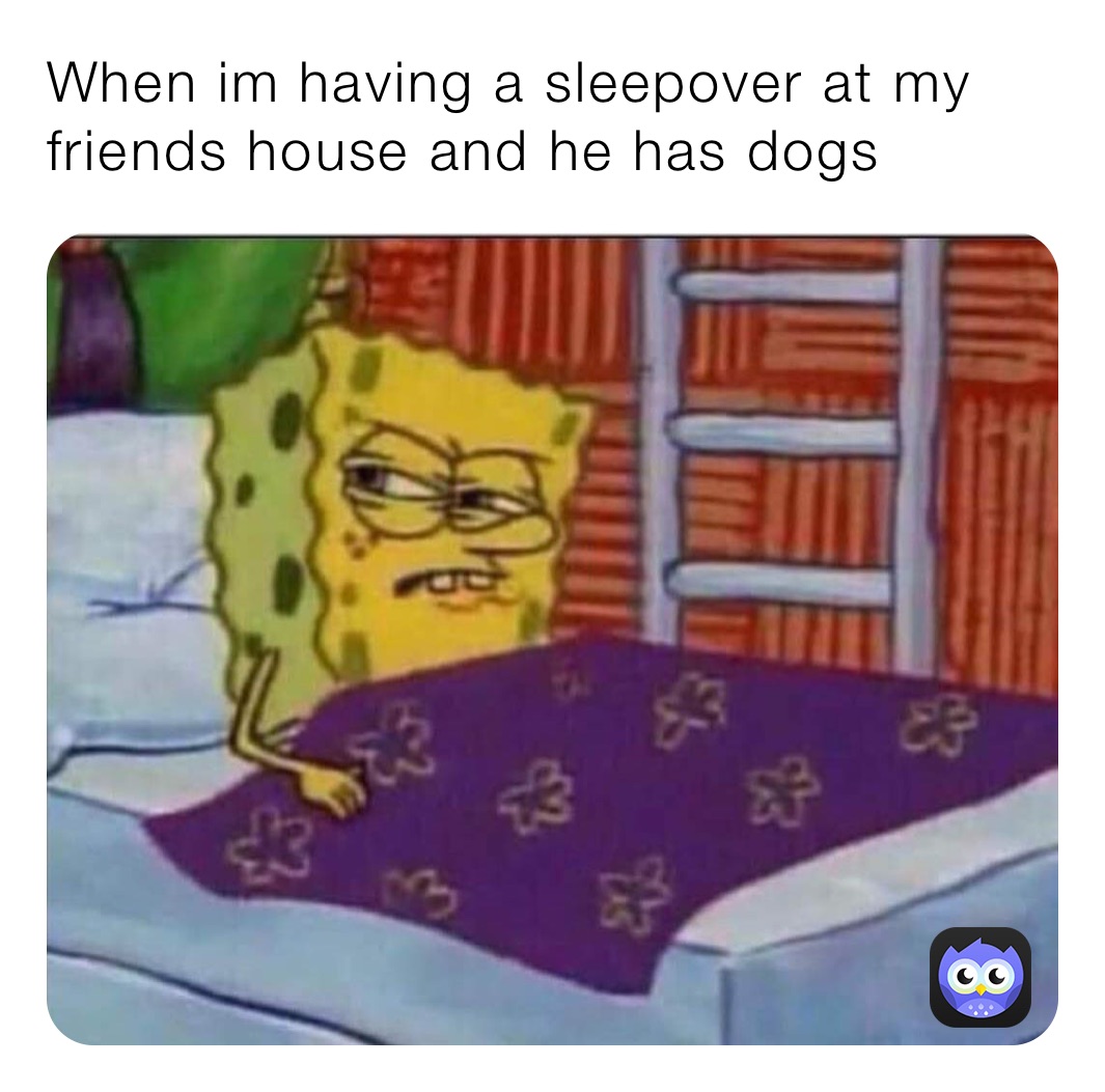 When im having a sleepover at my friends house and he has dogs