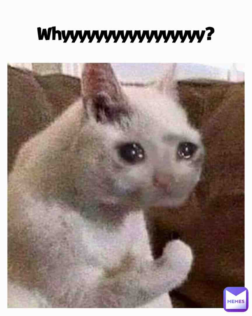 Y?