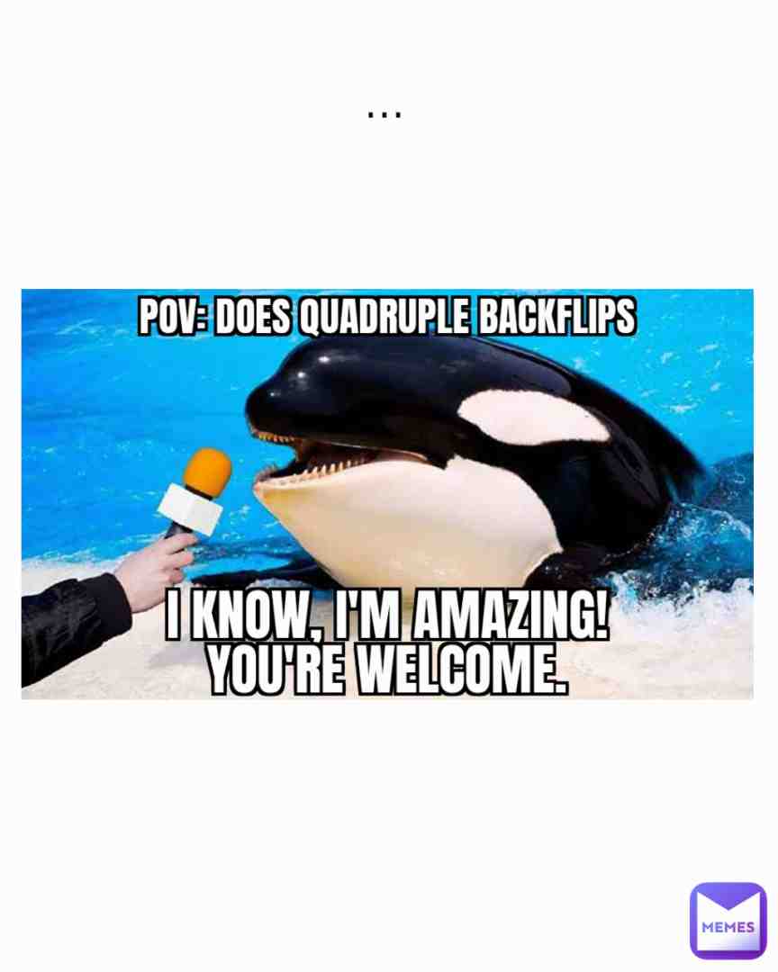 Who doesnt love Dolphins