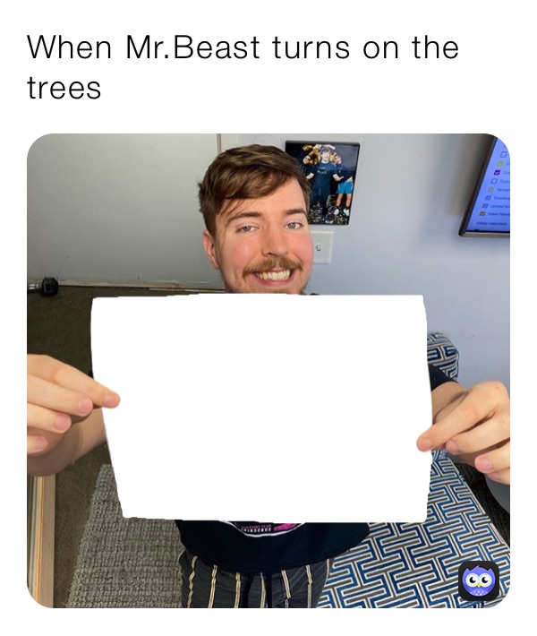 When Mr.Beast turns on the trees