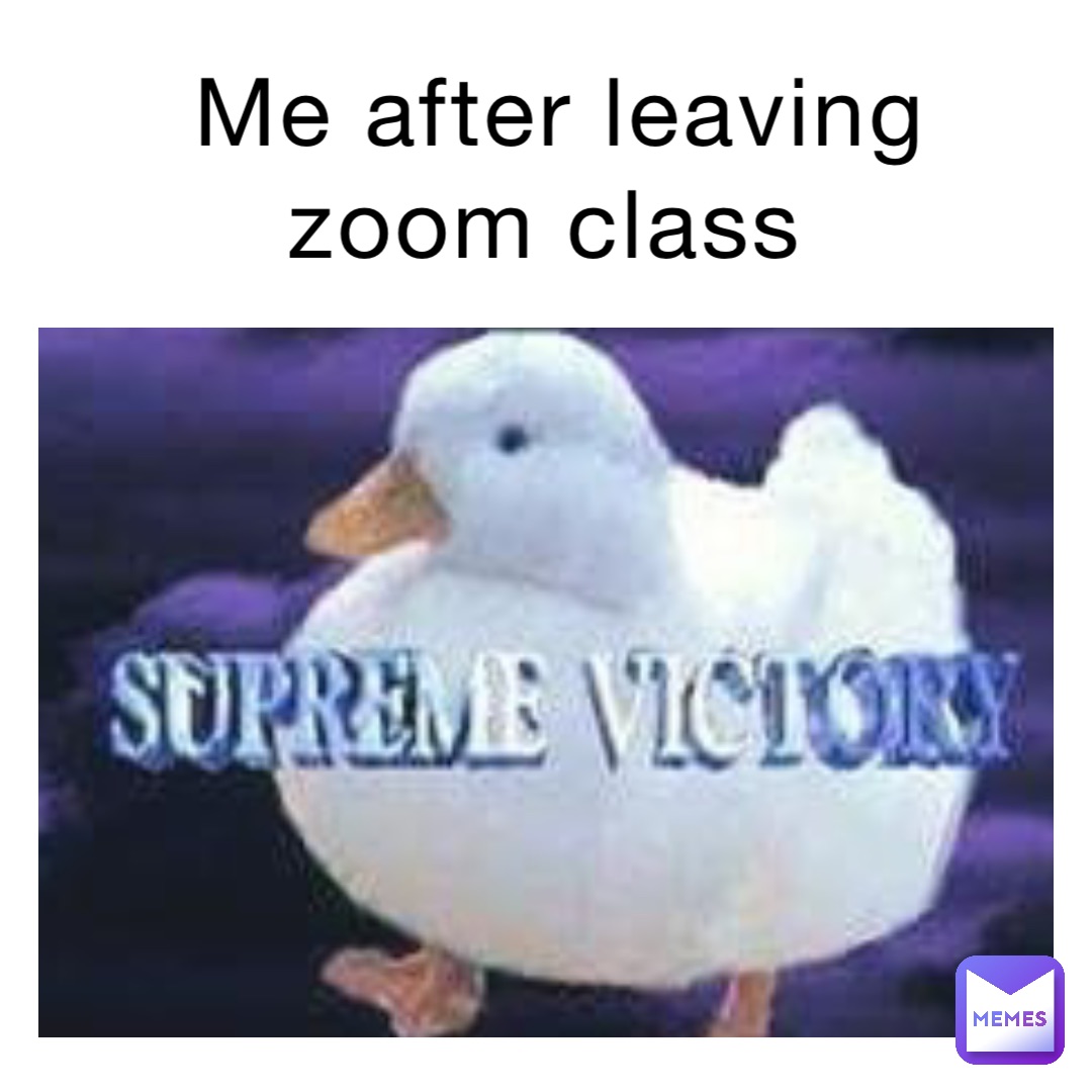 Me after leaving zoom class
