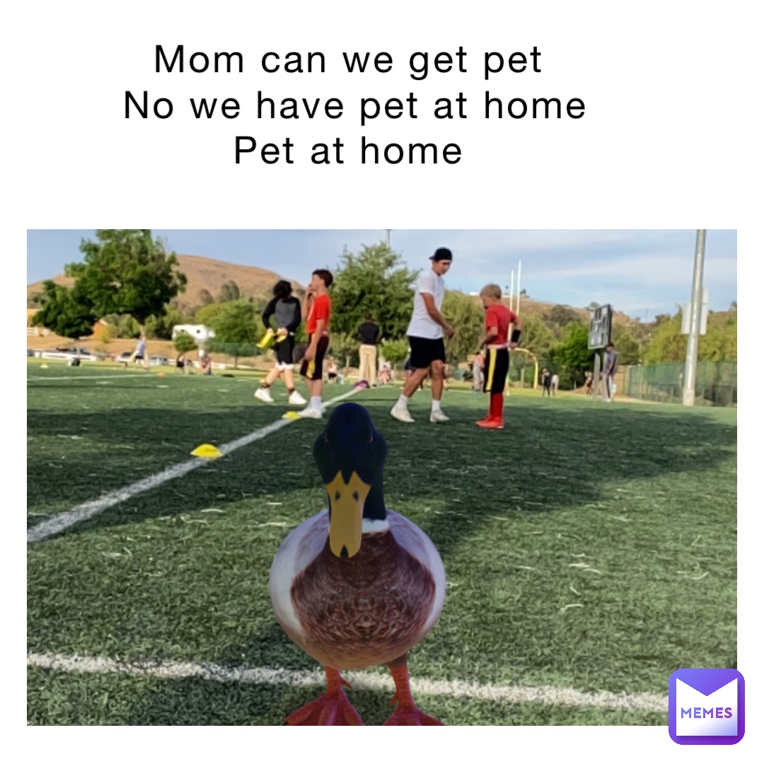 Mom can we get pet
No we have pet at home 
Pet at home