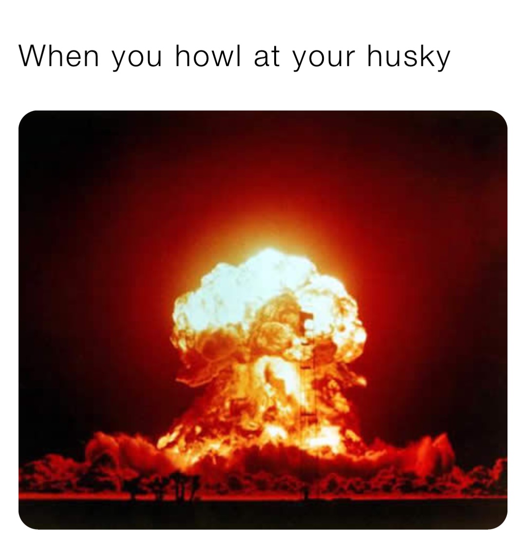 When you howl at your husky