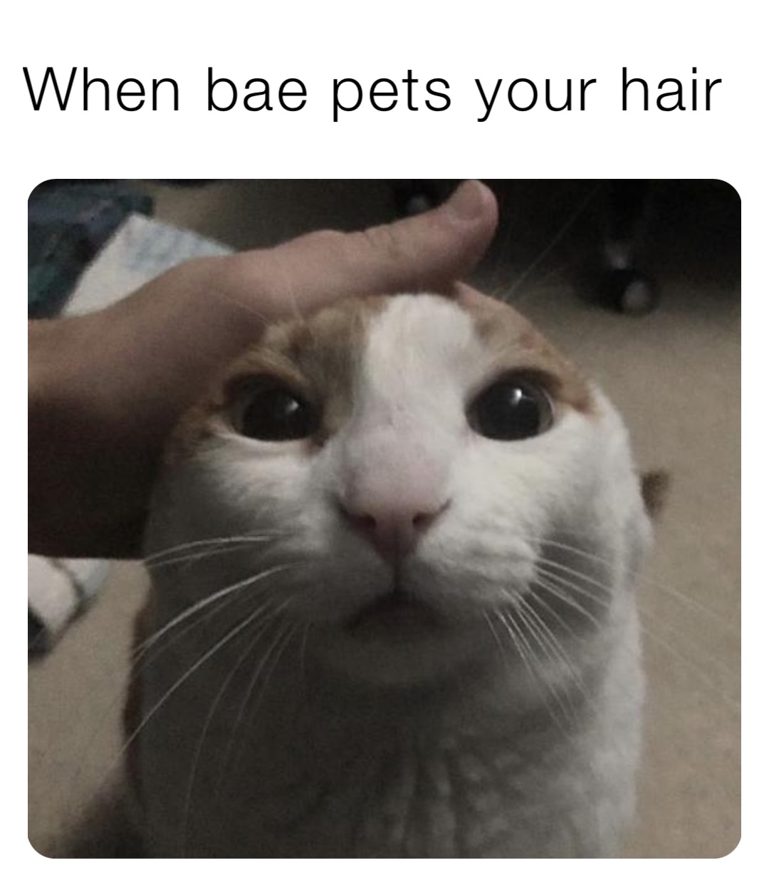 When bae pets your hair