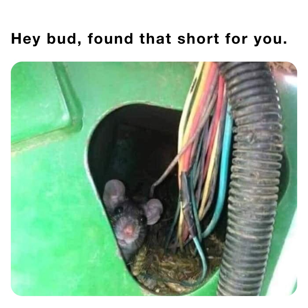 Hey bud, found that short for you.