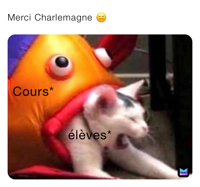 Merci Charlemagne 😑