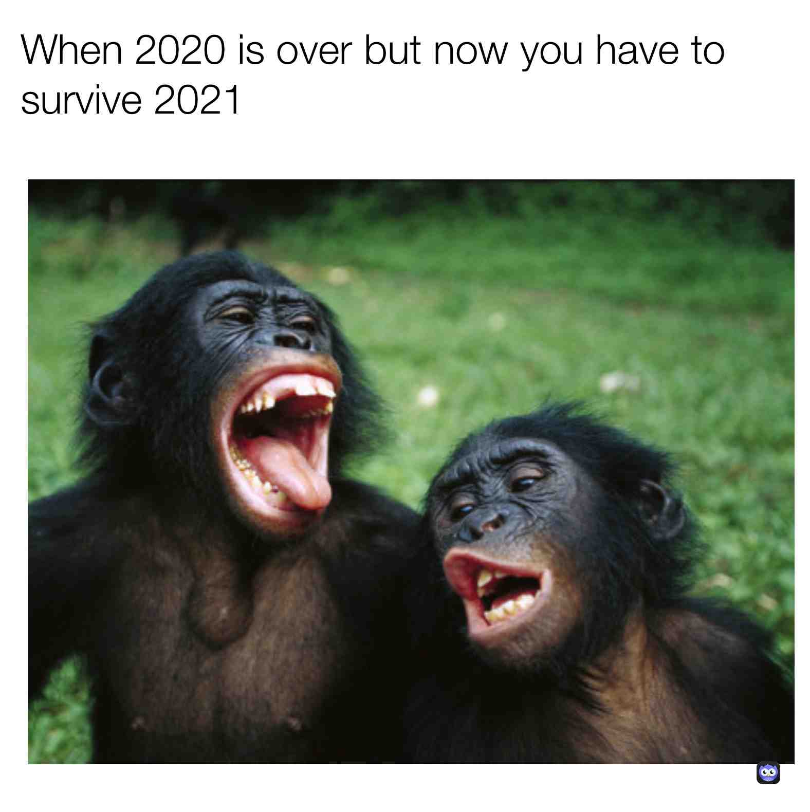 Meme shared by @sgwrave5ai