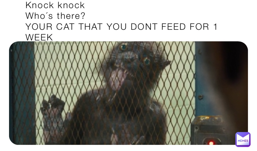 Knock knock 
Who´s there?
YOUR CAT THAT YOU DONT FEED FOR 1 WEEK