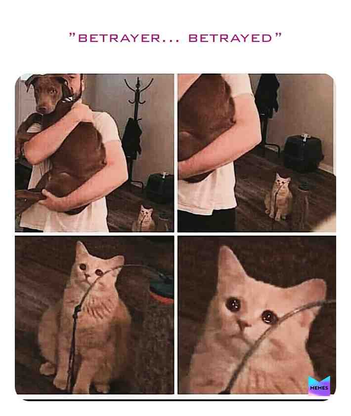 Meme shared by @could_be_semria