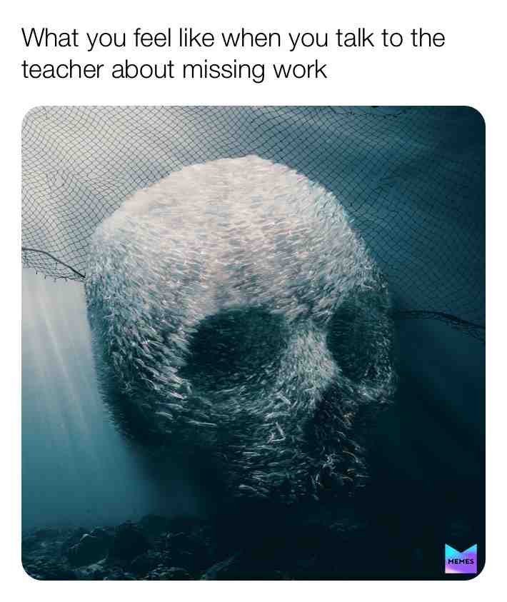 #schoolmemes