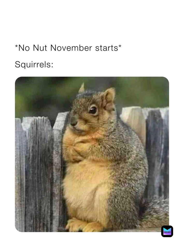 Meme by MAVs_stupid_memes