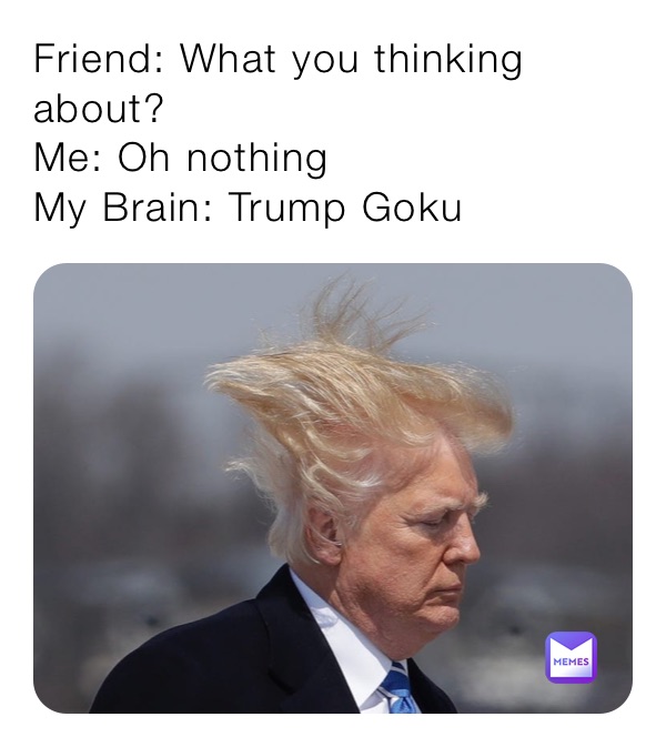 Friend: What you thinking about?
Me: Oh nothing
My Brain: Trump Goku
