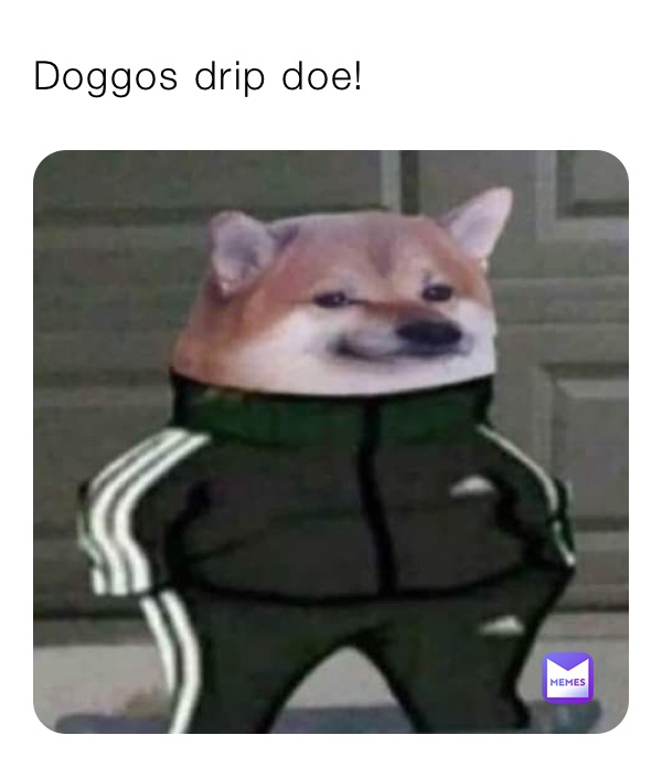 Doggos drip doe!