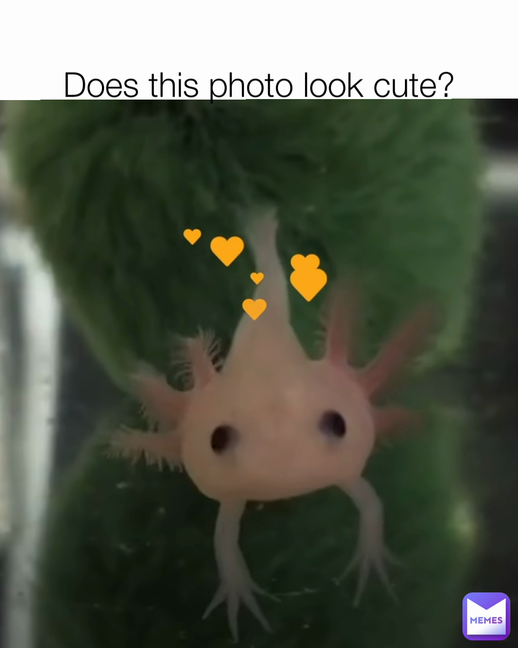 Meme by Yogirlballin