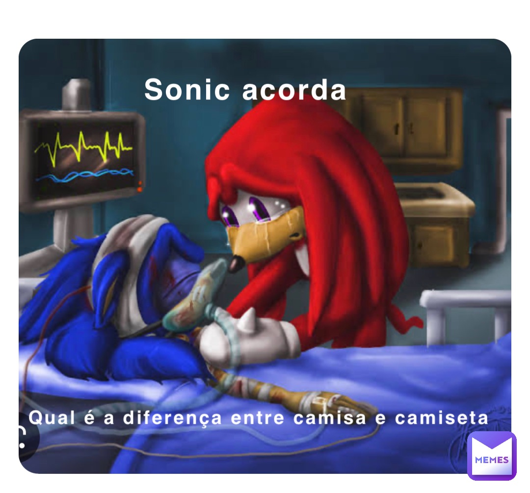 Sonic acorda Qual é a diferença entre camisa e camiseta