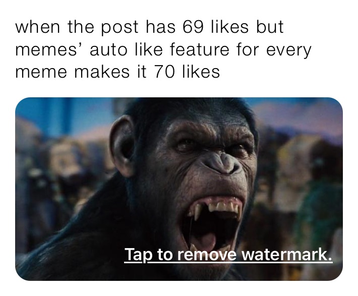 when the post has 69 likes but memes’ auto like feature for every meme makes it 70 likes