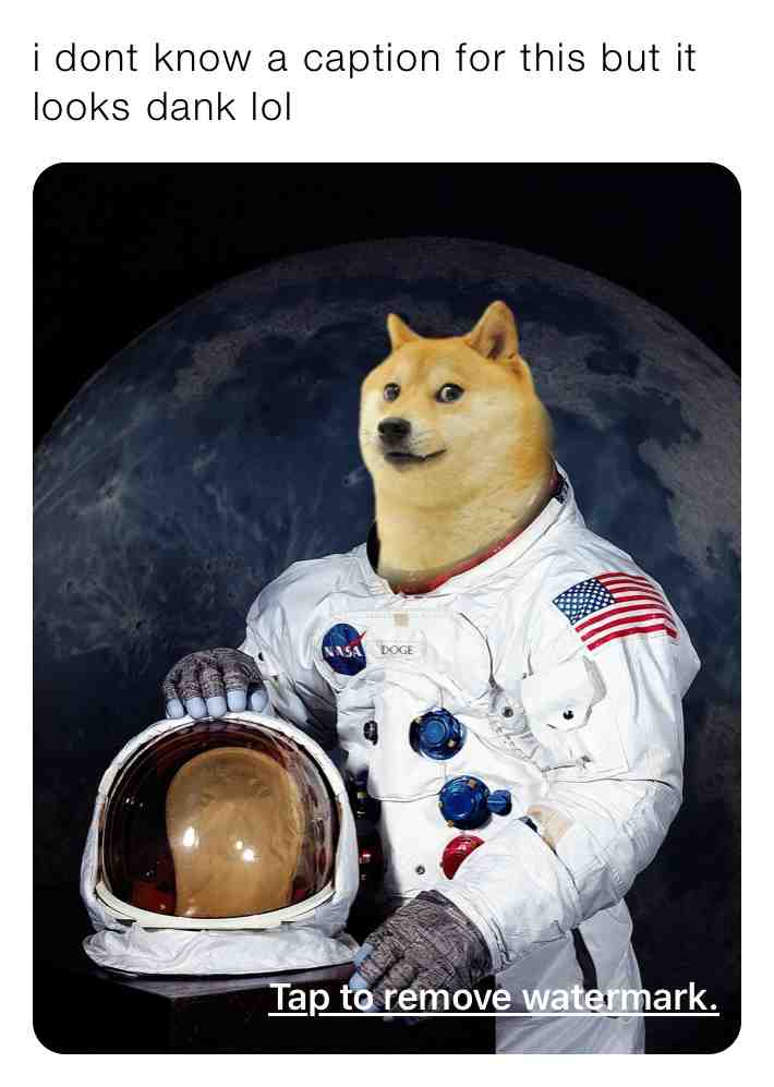 Neil Dogstrong ig comment a better name for space doggo