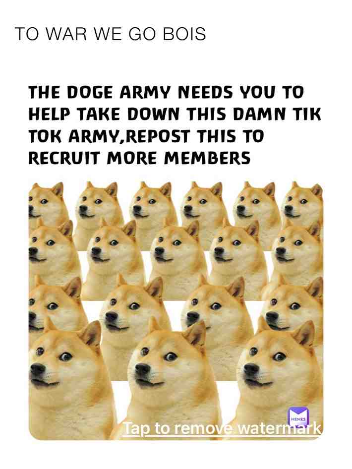 Reposted from @Doge_Meme_God