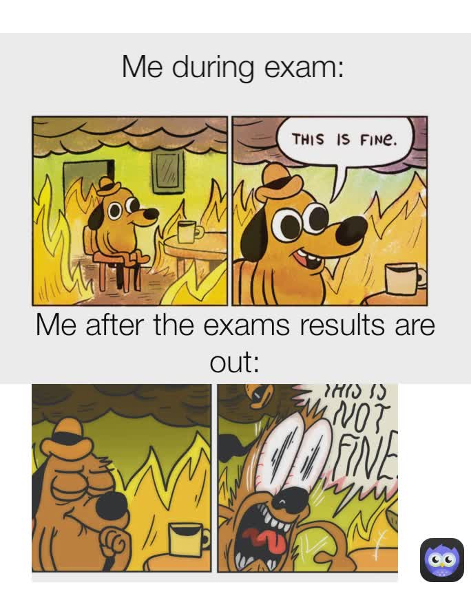 after exam memes