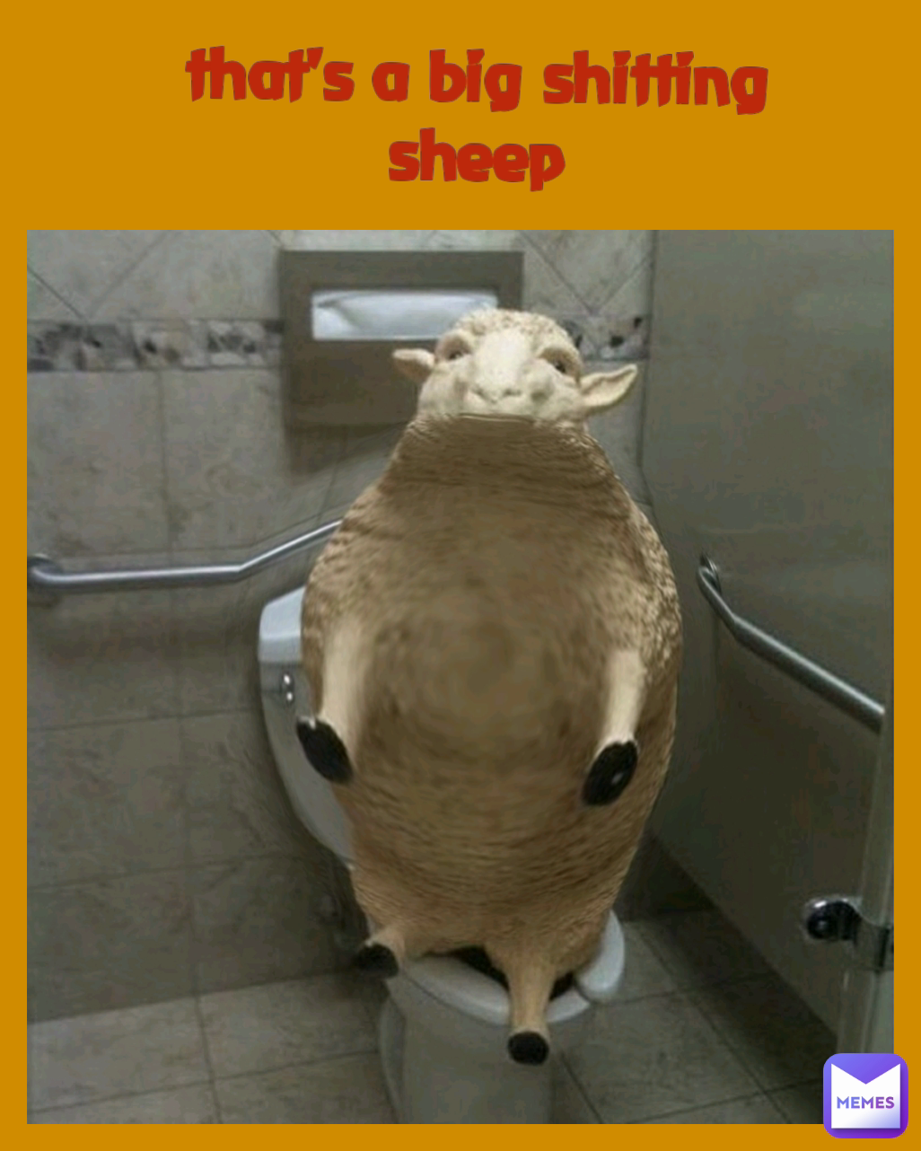 that's a big shitting sheep Type Text