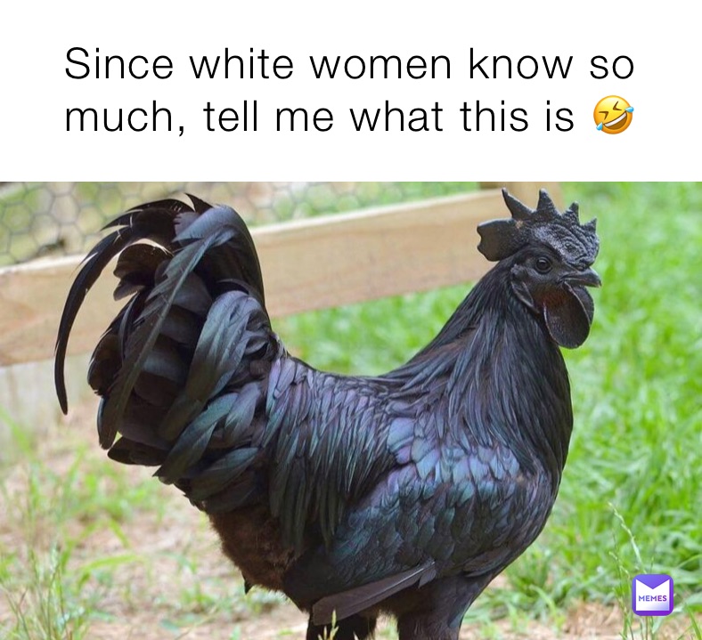 Since white women know so much, tell me what this is 🤣