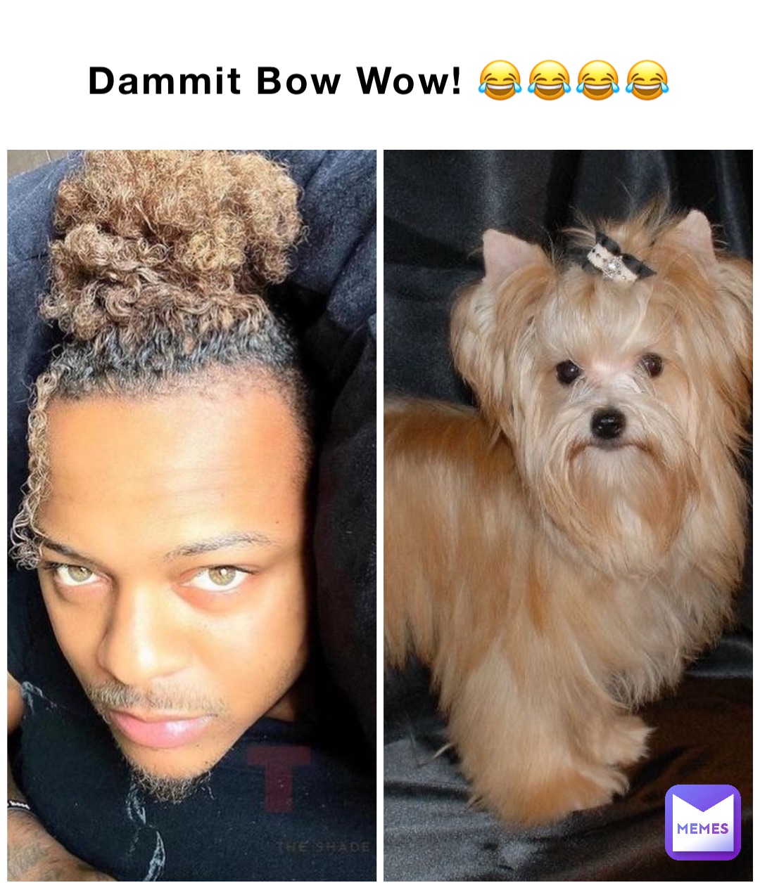 Dammit Bow Wow! 😂😂😂😂 Double tap to edit