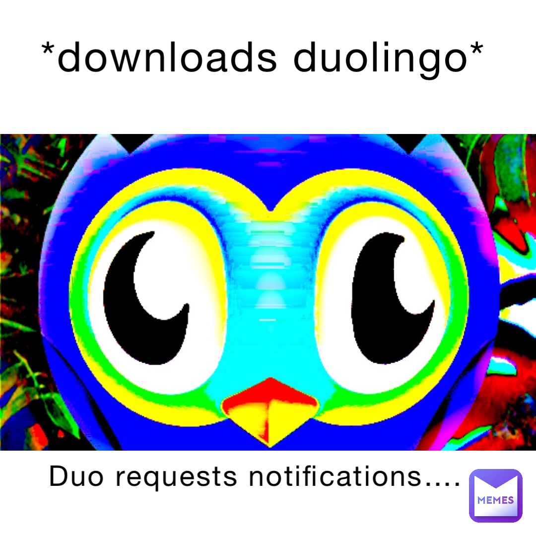 *Downloads duolingo* Duo requests notifications….