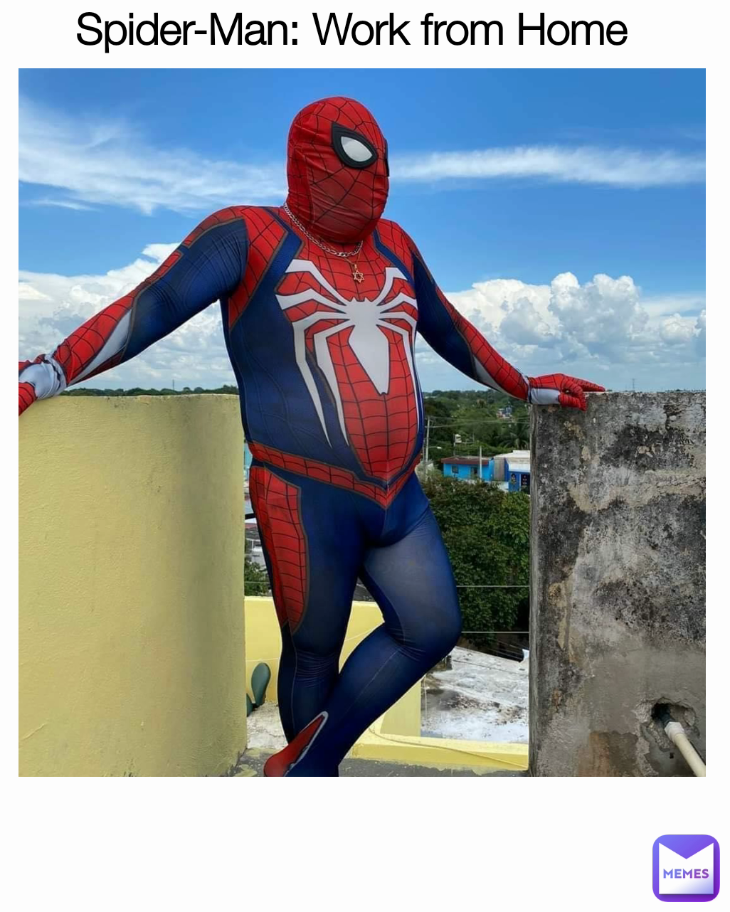 Meme by LilSefGaming