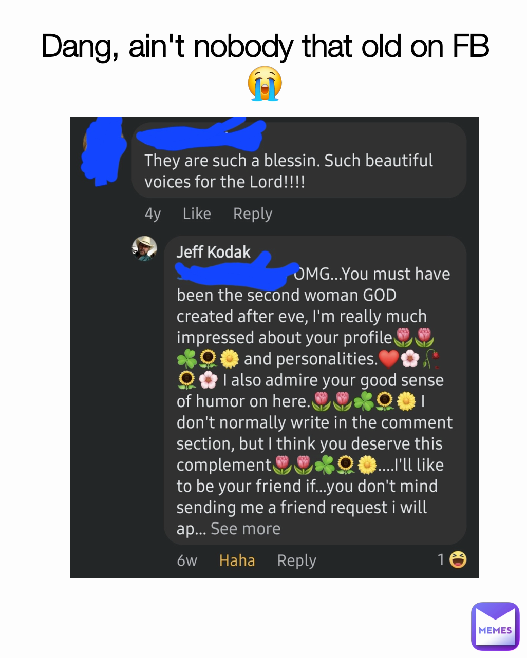 Meme by LilSefGaming