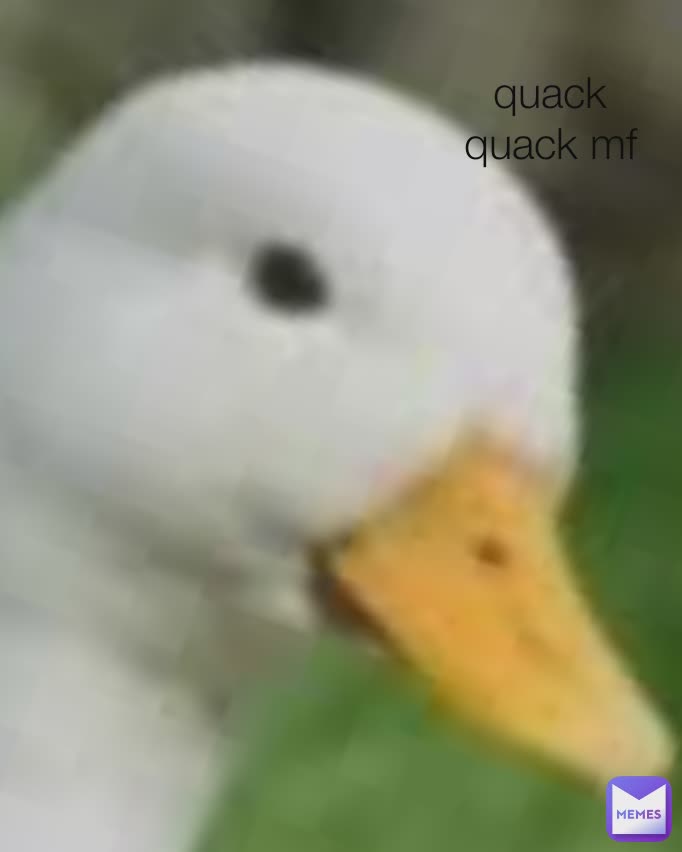 Type Text quack quack mf