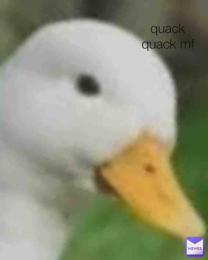 Meme shared by @Splat_king