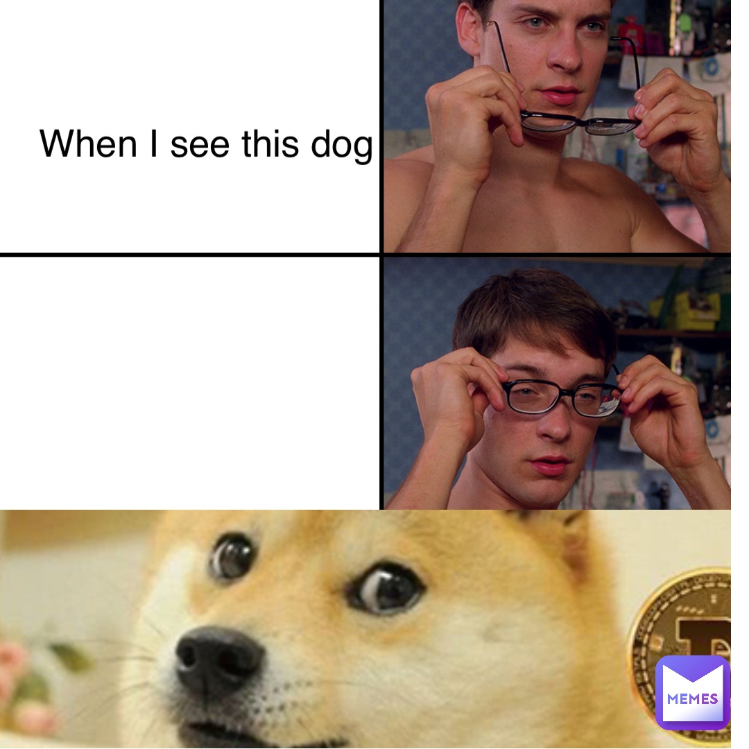 When I see this dog