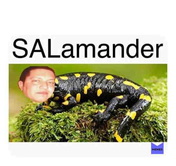 Lizard sal #meme #memes #sal