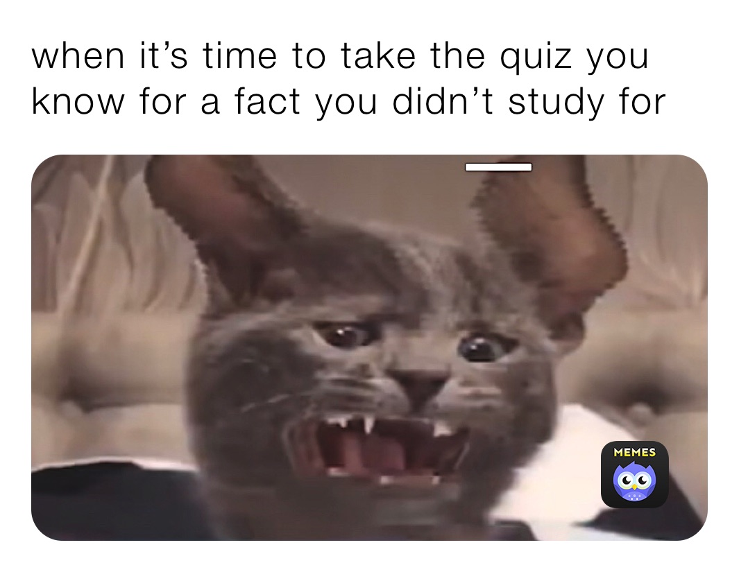 when it’s time to take the quiz you know for a fact you didn’t study for 