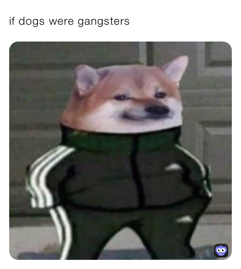 if dogs were gangsters