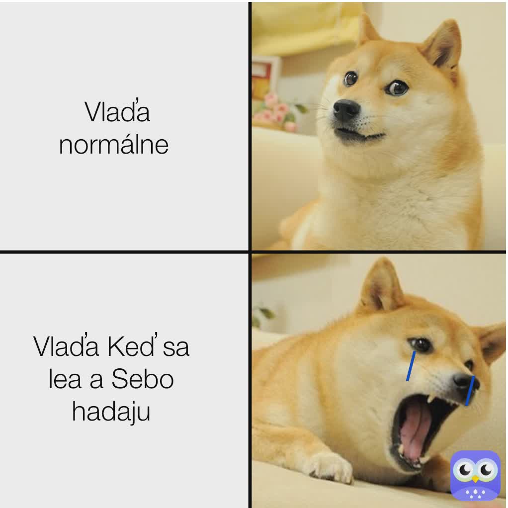 Meme by vladka_mrvl
