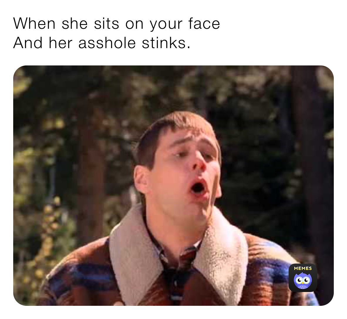 When she sits on your face And her asshole stinks. | @Fly0116 | Memes