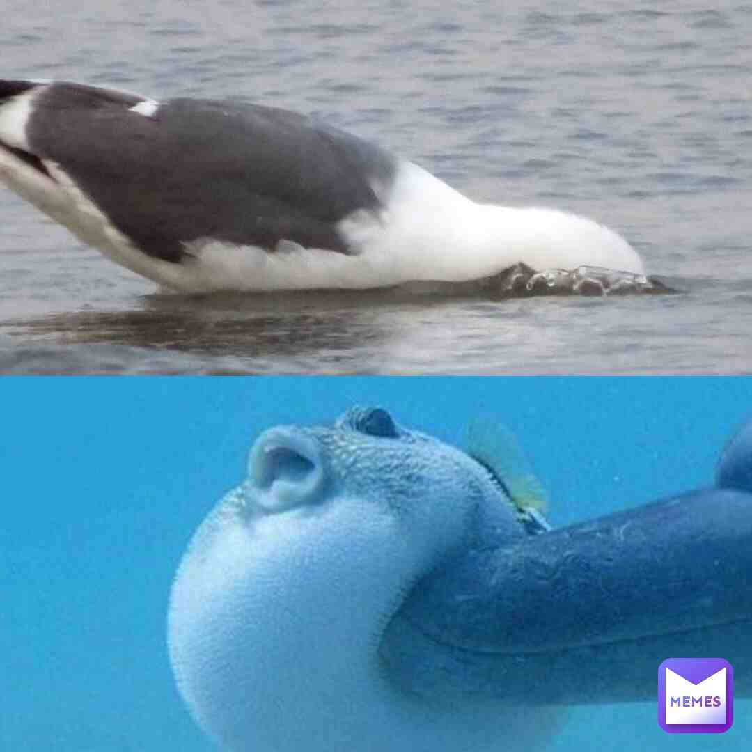 Meme preview
