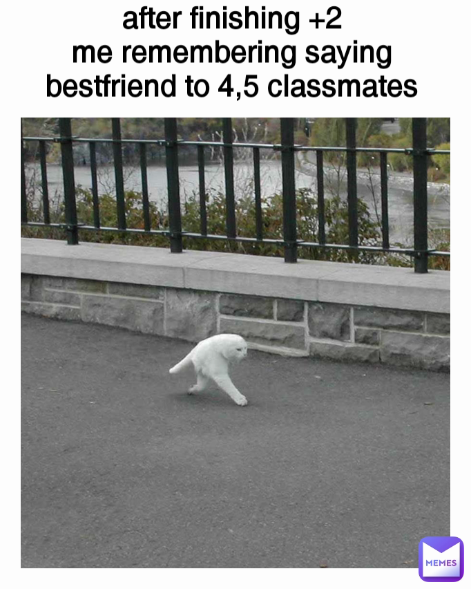 after finishing +2
me remembering saying bestfriend to 4,5 classmates
