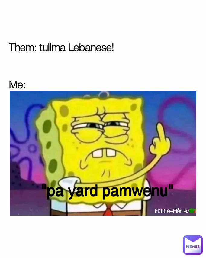 Them: tulima Lebanese! 


Me: "pa yard pamwenu" Fûtûrè~Flåmez🇿🇲