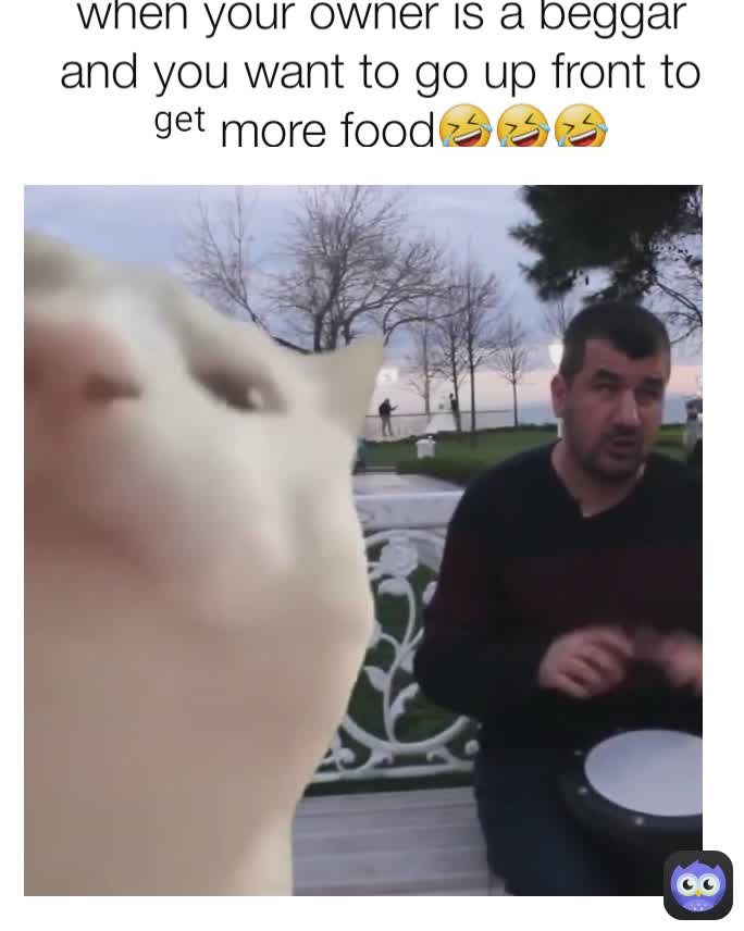 when your owner is a beggar and you want to go up front to ᵍᵉᵗ more food🤣🤣🤣