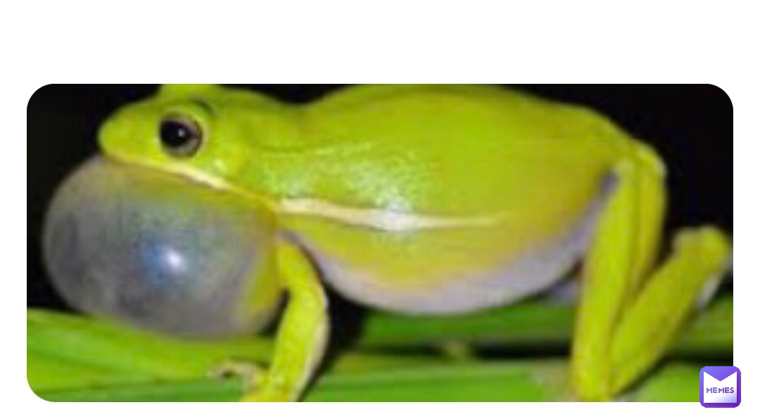 Meme by FrogGuy