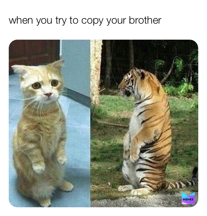 Meme by shashwat_king_raj